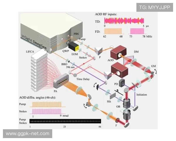 顶胜体育引入先进科技设备，提升运动训练的科学性与效率